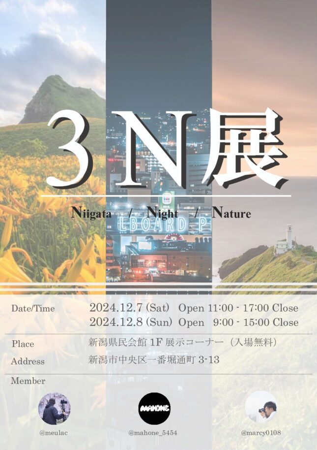 3N展